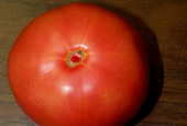 RedTomato[1].jpg